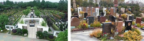 太阳城官网(中国)集团有限公司