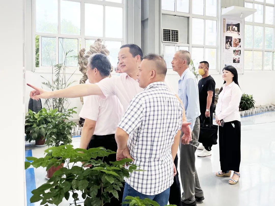 太阳城官网(中国)集团有限公司