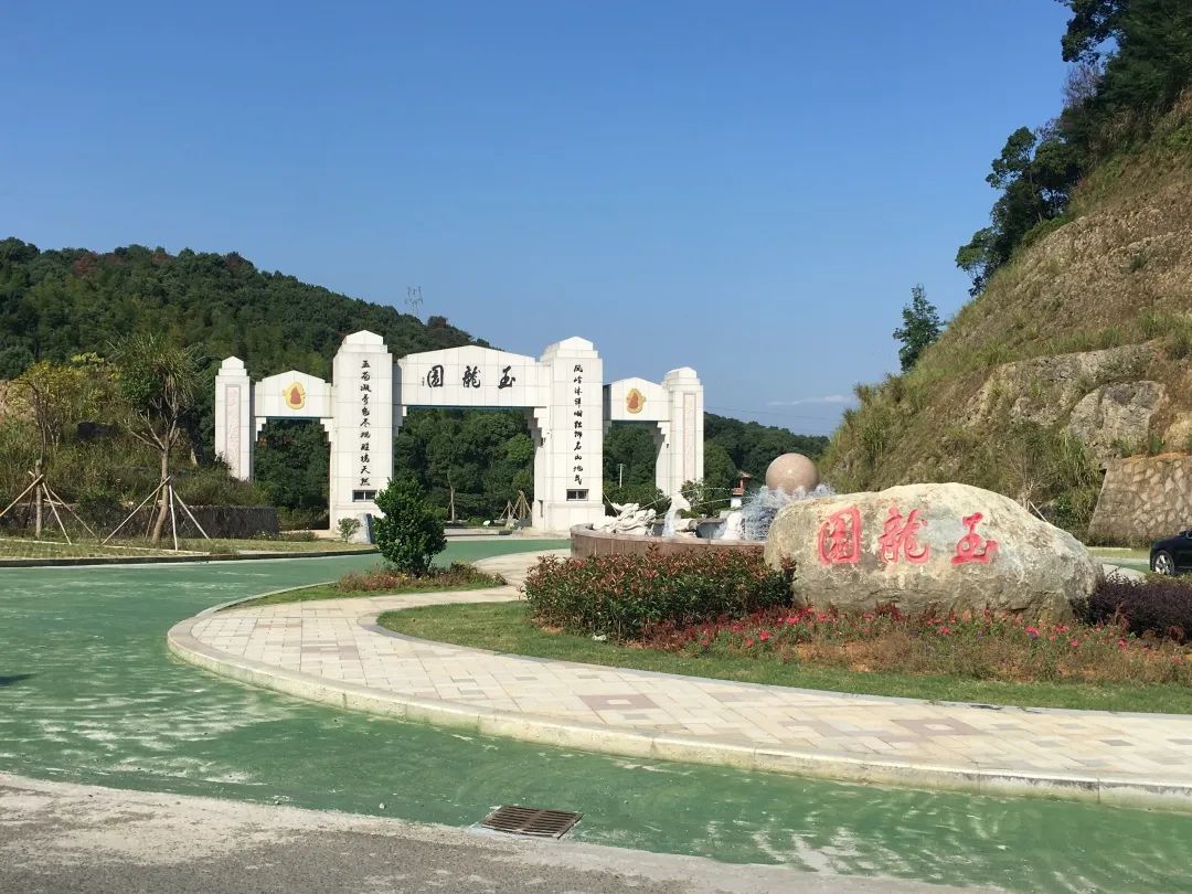 太阳城官网(中国)集团有限公司