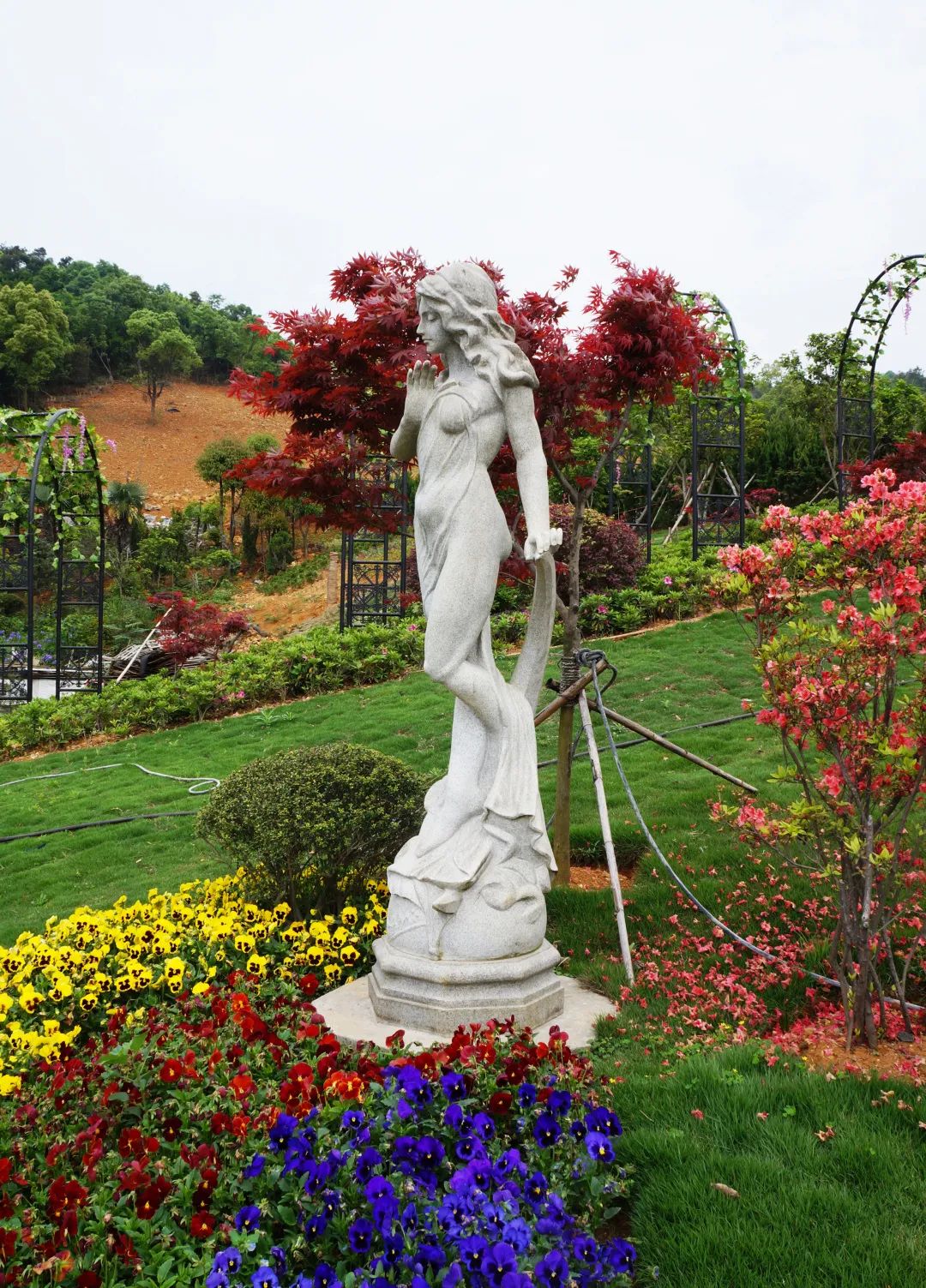 太阳城官网(中国)集团有限公司