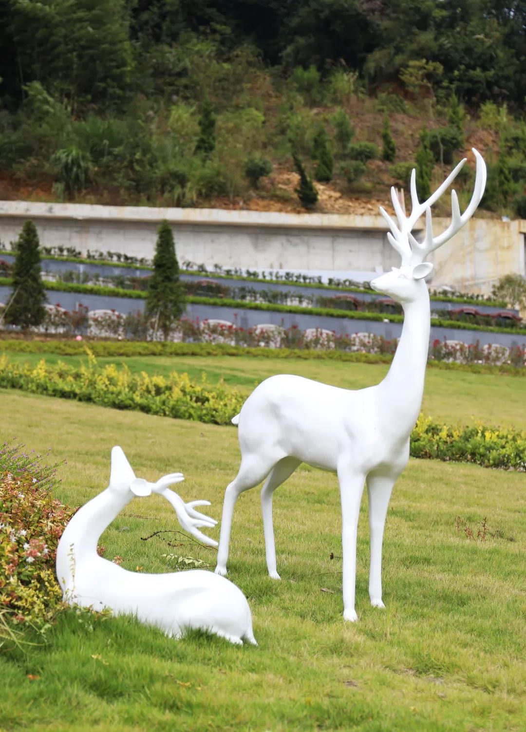 太阳城官网(中国)集团有限公司