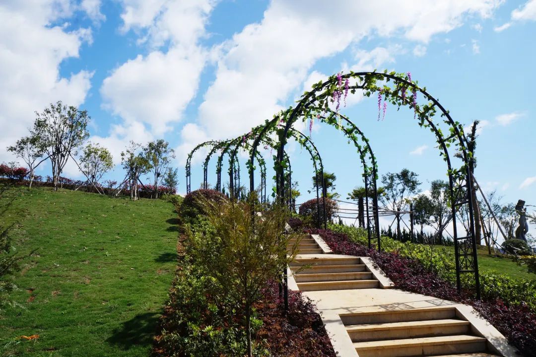 太阳城官网(中国)集团有限公司