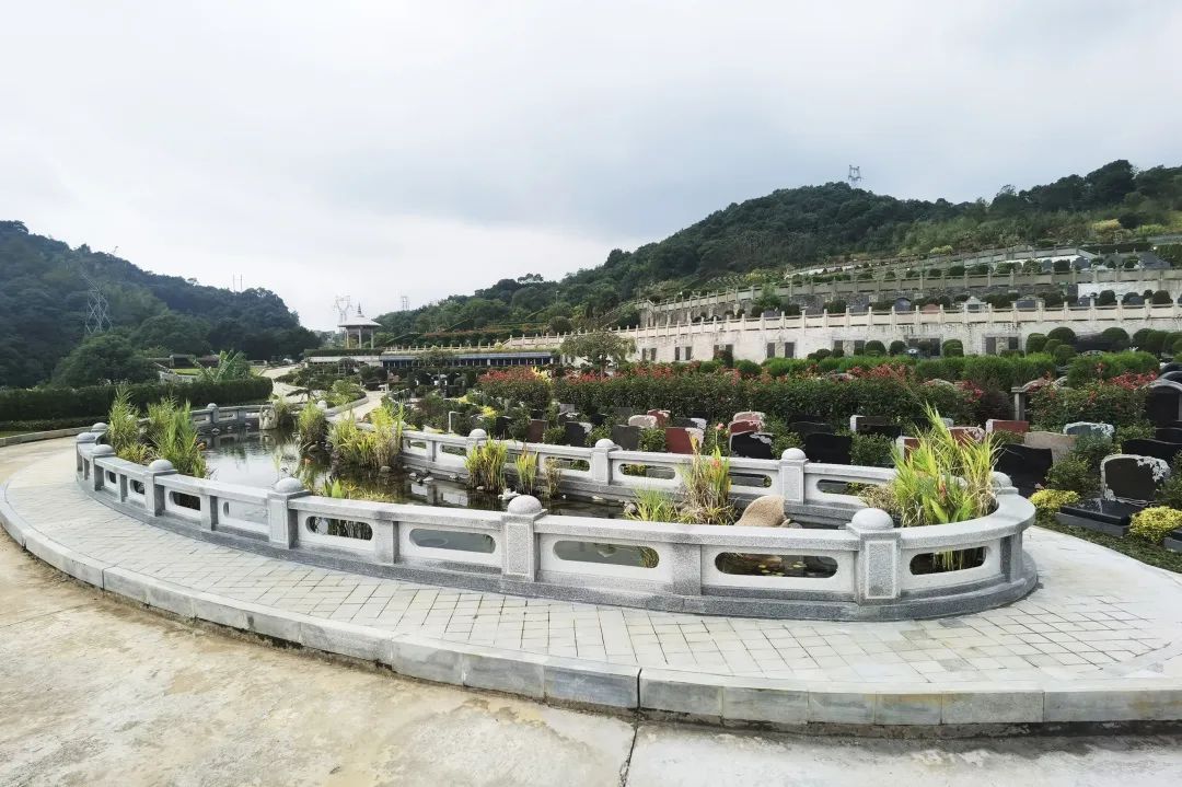 太阳城官网(中国)集团有限公司