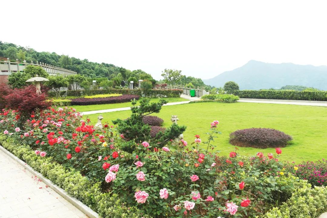 太阳城官网(中国)集团有限公司