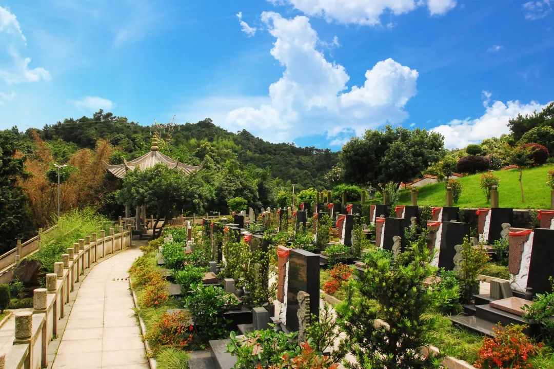 太阳城官网(中国)集团有限公司