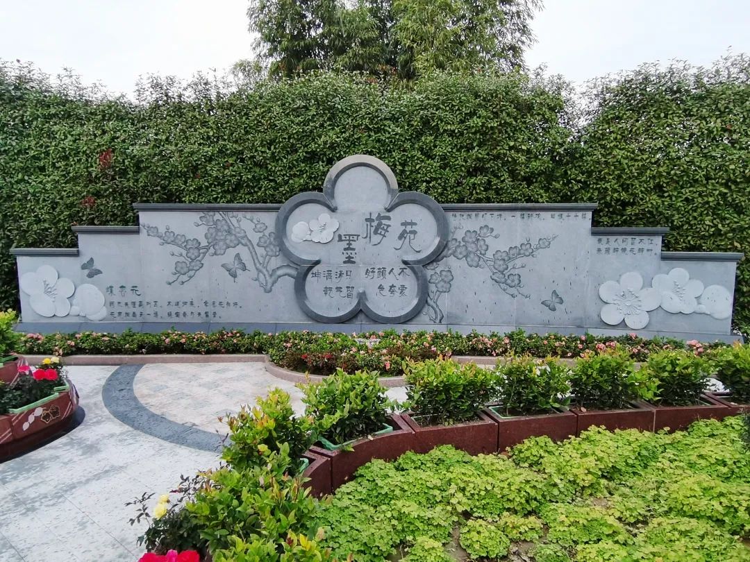 太阳城官网(中国)集团有限公司