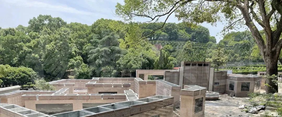 太阳城官网(中国)集团有限公司