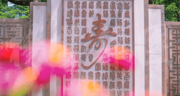 太阳城官网(中国)集团有限公司