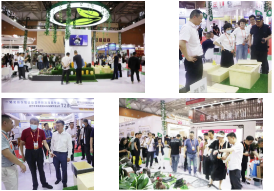 太阳城官网(中国)集团有限公司