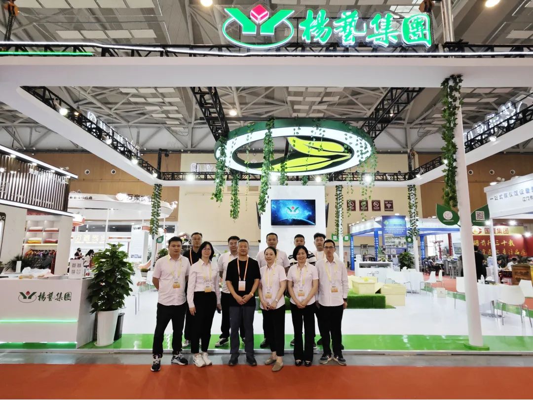 <b>太阳城官网青岛展会回首|感恩遇见 不负期待</b>