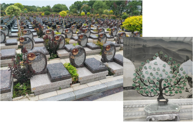 太阳城官网(中国)集团有限公司