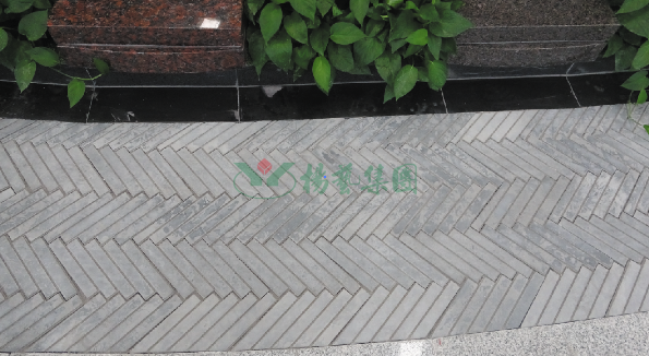 太阳城官网(中国)集团有限公司