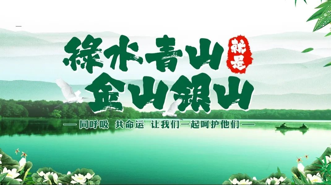 太阳城官网(中国)集团有限公司