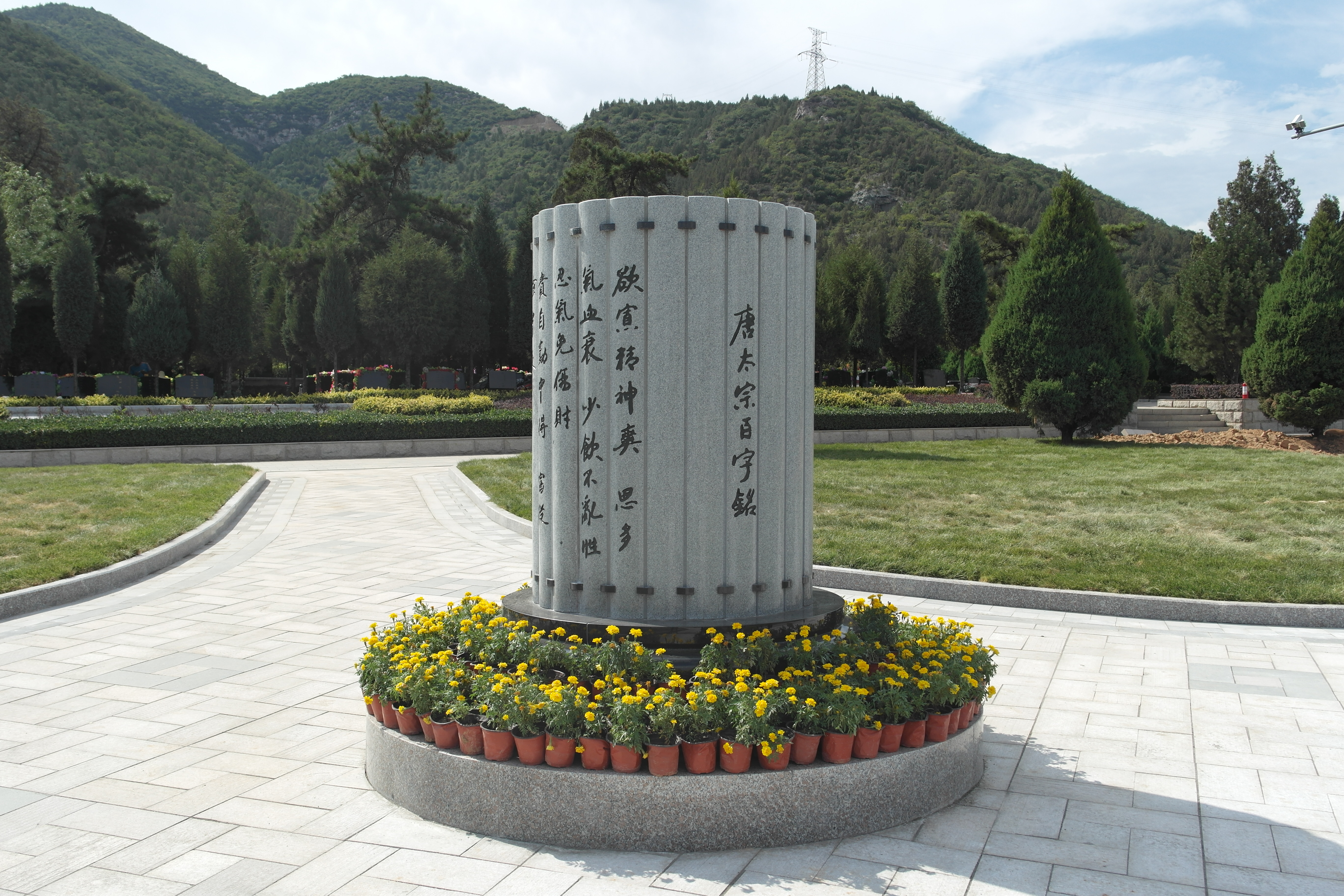 太阳城官网(中国)集团有限公司