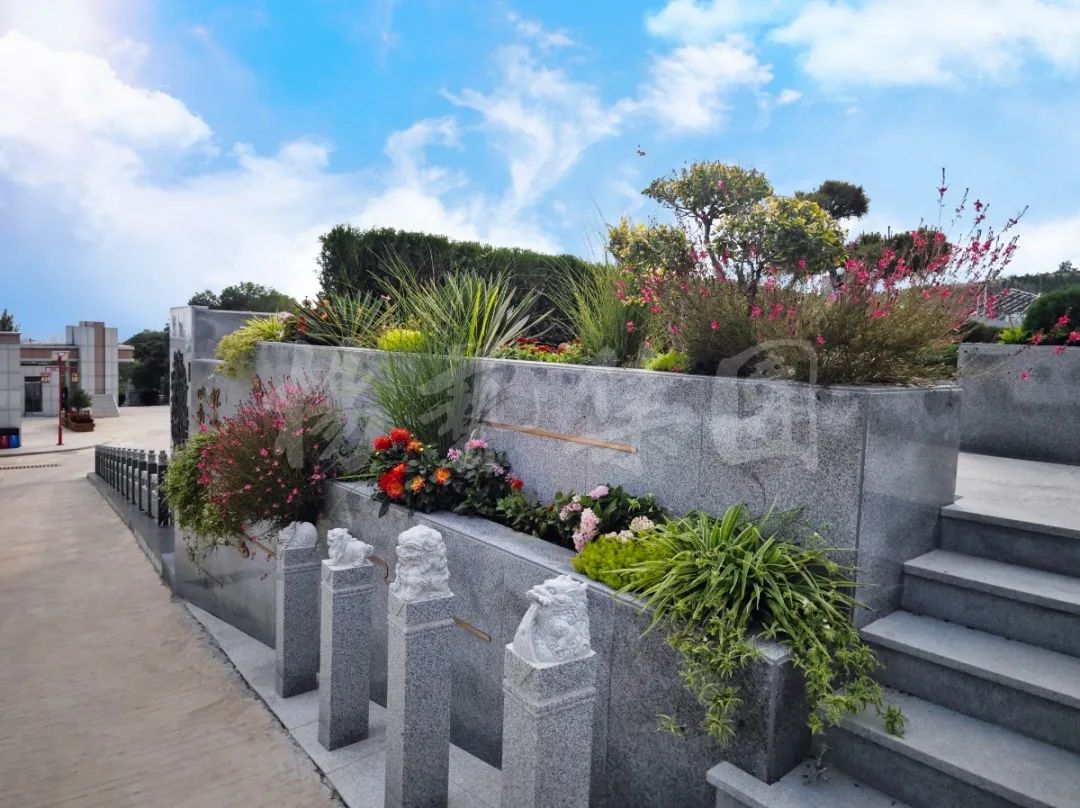 太阳城官网(中国)集团有限公司