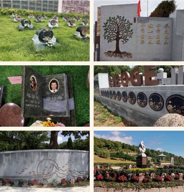 太阳城官网(中国)集团有限公司