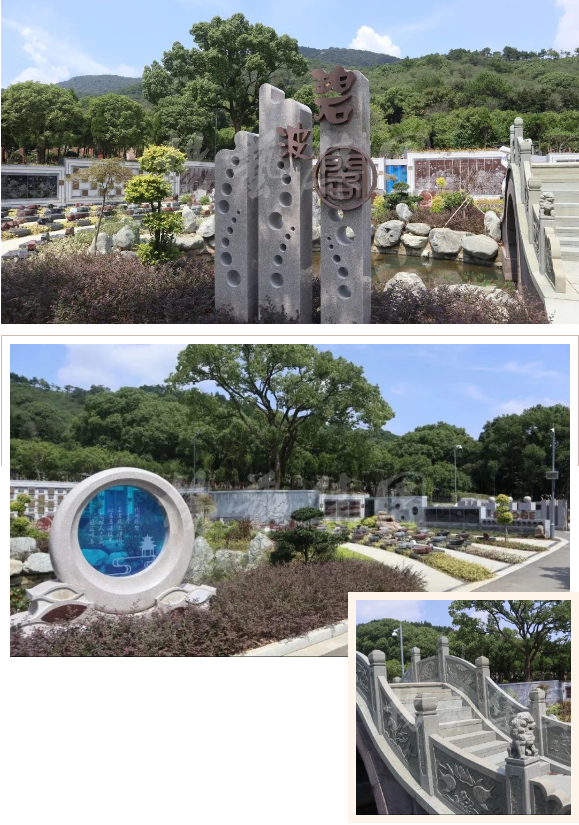 太阳城官网(中国)集团有限公司