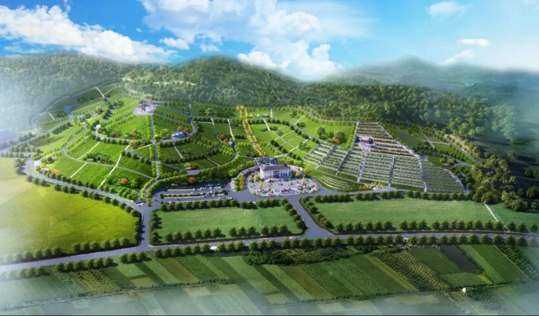 太阳城官网(中国)集团有限公司