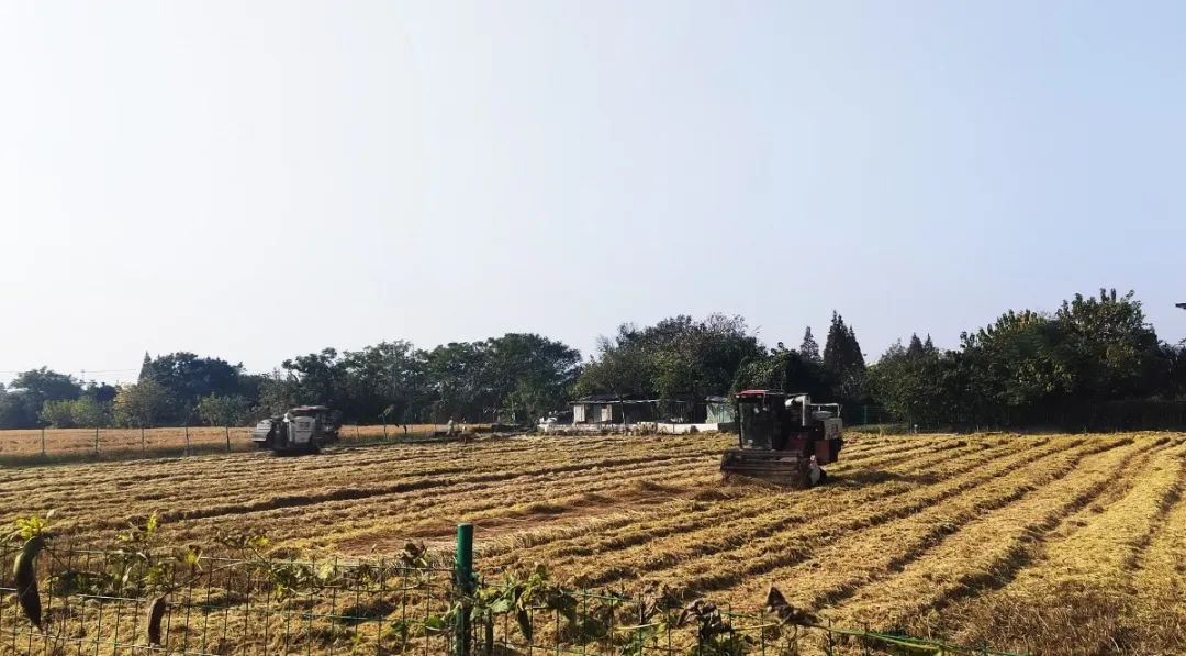 太阳城官网(中国)集团有限公司