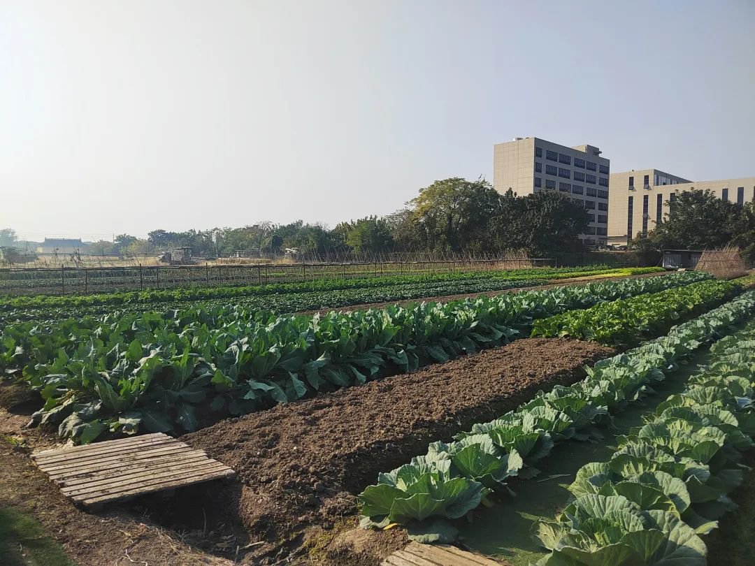 太阳城官网(中国)集团有限公司