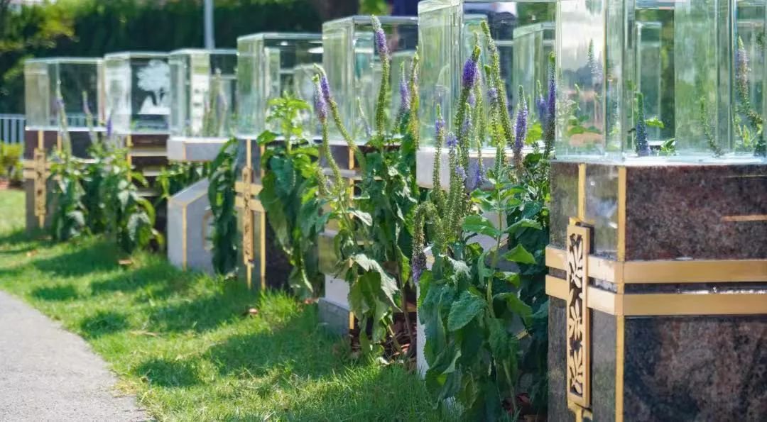 太阳城官网(中国)集团有限公司