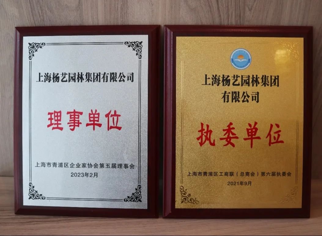 太阳城官网(中国)集团有限公司