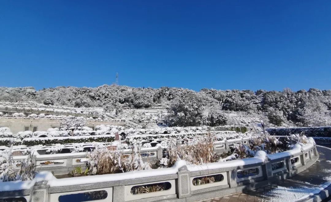 太阳城官网(中国)集团有限公司