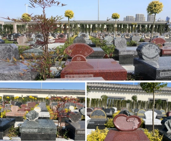 太阳城官网(中国)集团有限公司