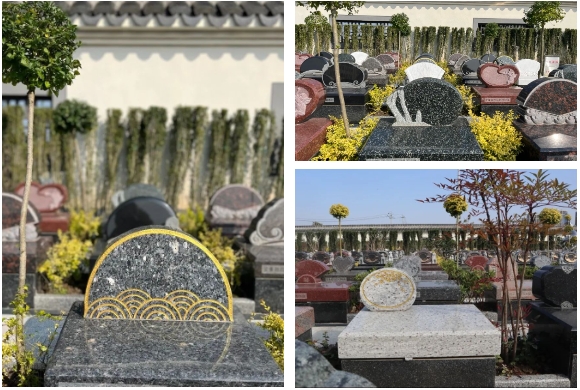 太阳城官网(中国)集团有限公司