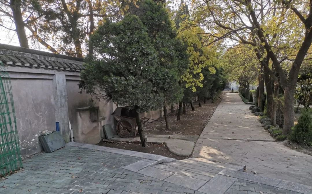 太阳城官网(中国)集团有限公司