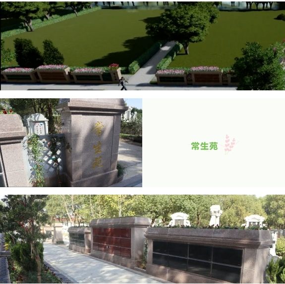 太阳城官网(中国)集团有限公司