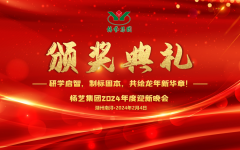 2024年太阳城官网集团迎新春年会暨颁奖仪式盛放纵行