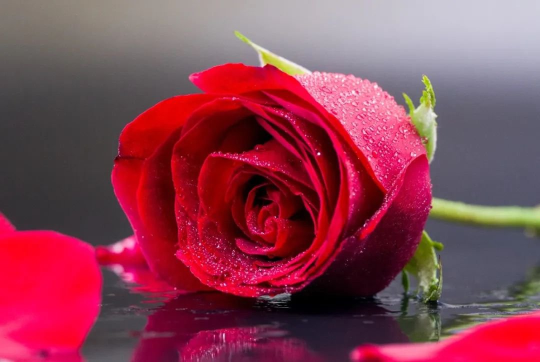 太阳城官网(中国)集团有限公司