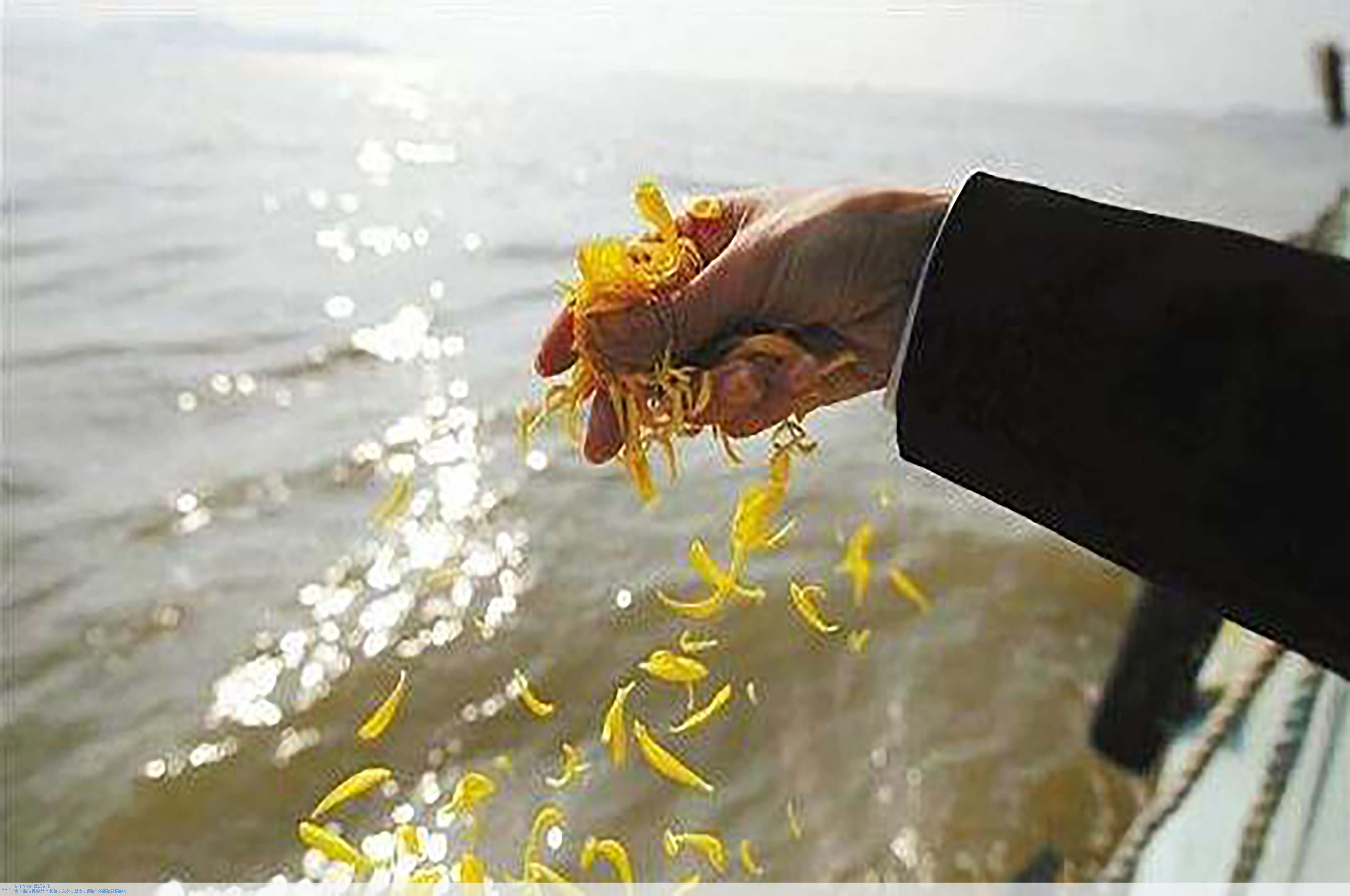 太阳城官网(中国)集团有限公司