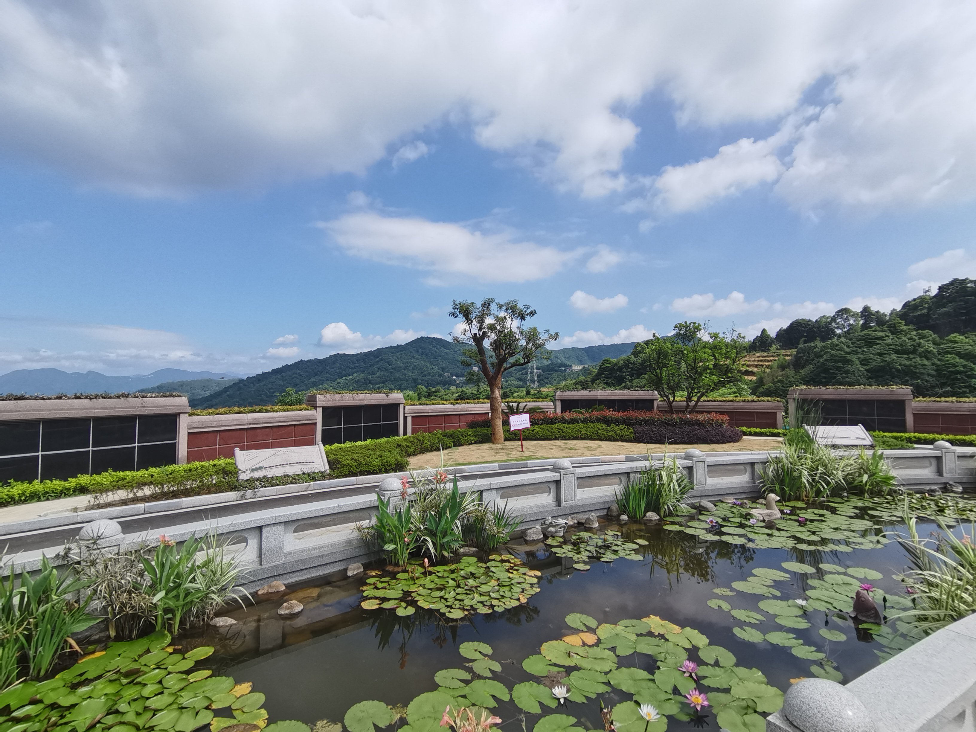 太阳城官网(中国)集团有限公司