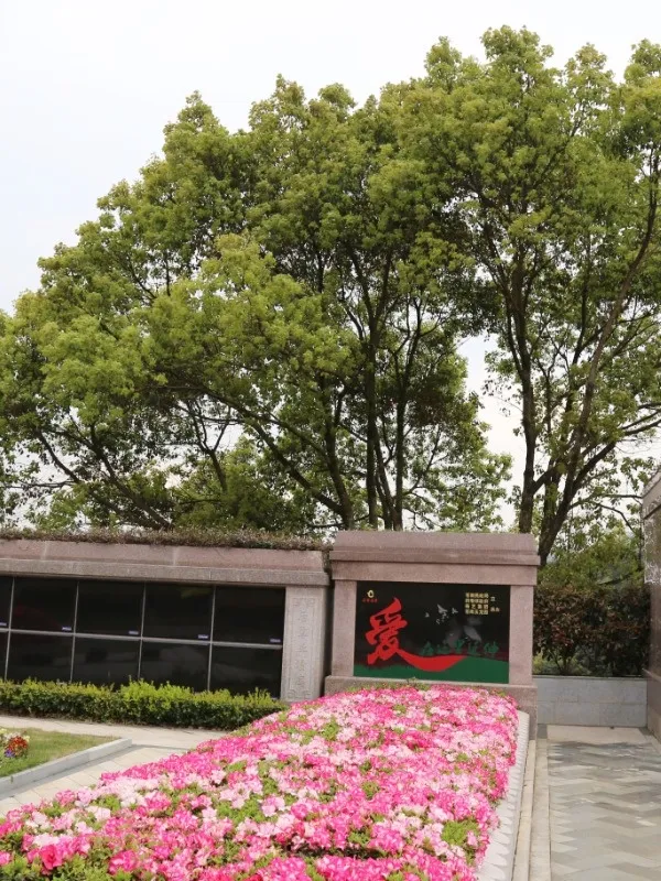 太阳城官网(中国)集团有限公司