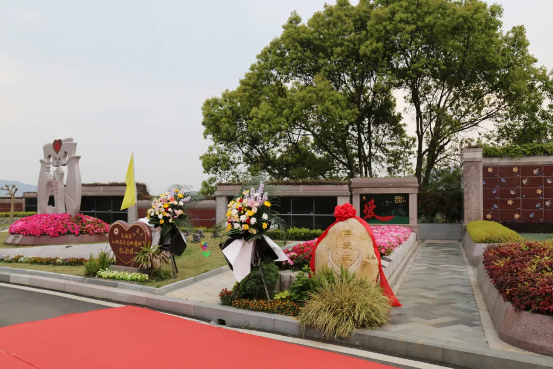 太阳城官网(中国)集团有限公司