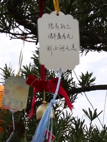 太阳城官网(中国)集团有限公司