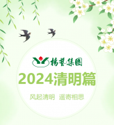 风起清明 遥寄相思|太阳城官网集团?2024清明篇