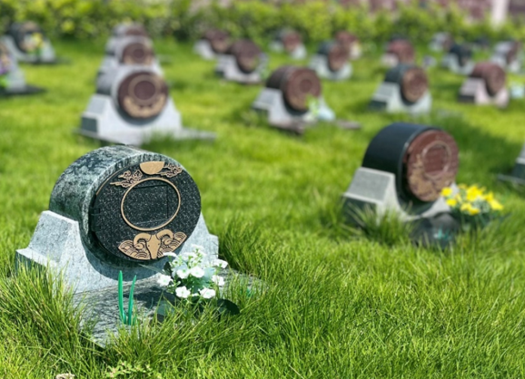 太阳城官网(中国)集团有限公司