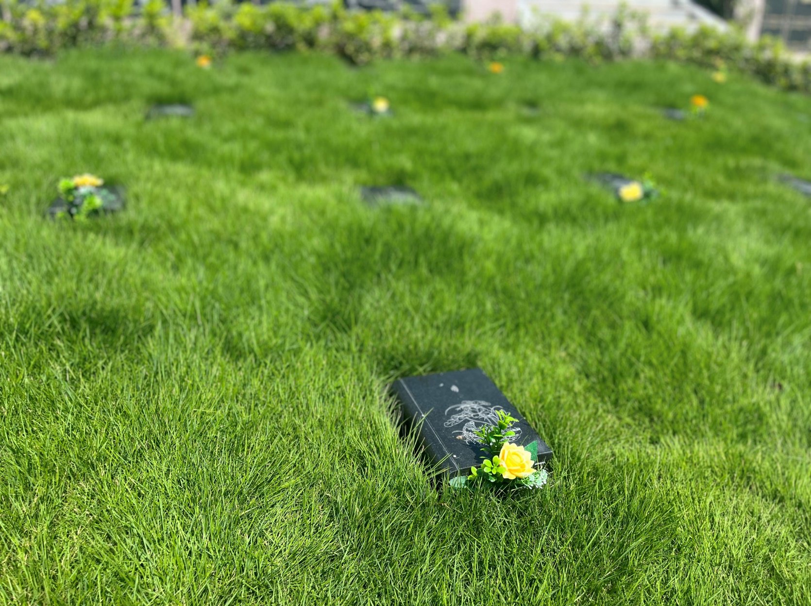 太阳城官网(中国)集团有限公司