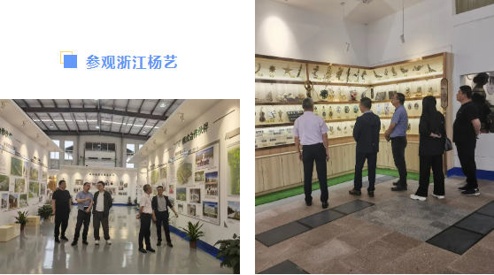 太阳城官网(中国)集团有限公司