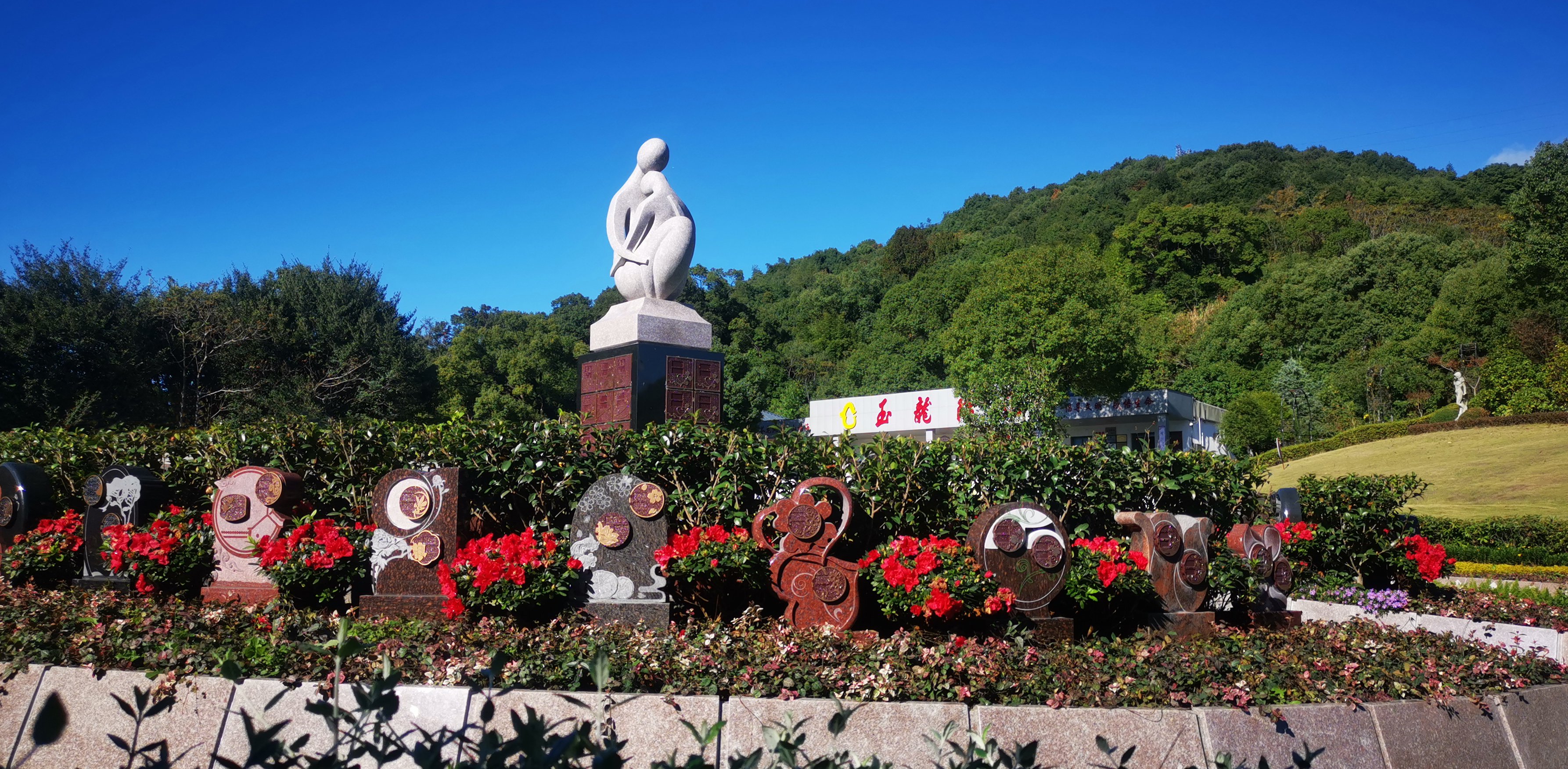 未来，，，，生态葬或将成为主流