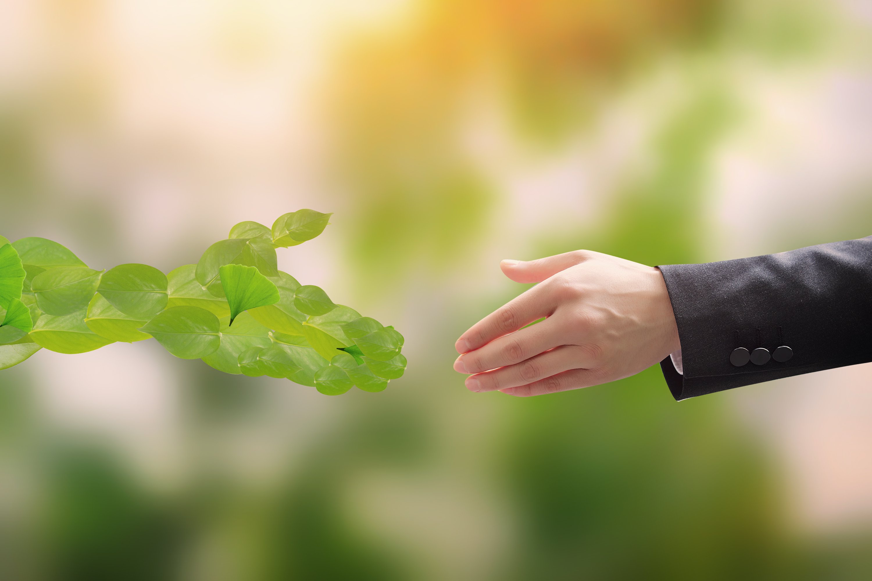 太阳城官网(中国)集团有限公司