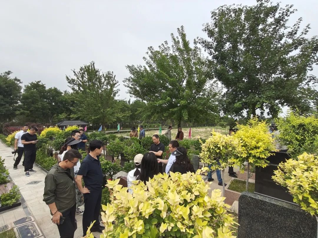 太阳城官网(中国)集团有限公司