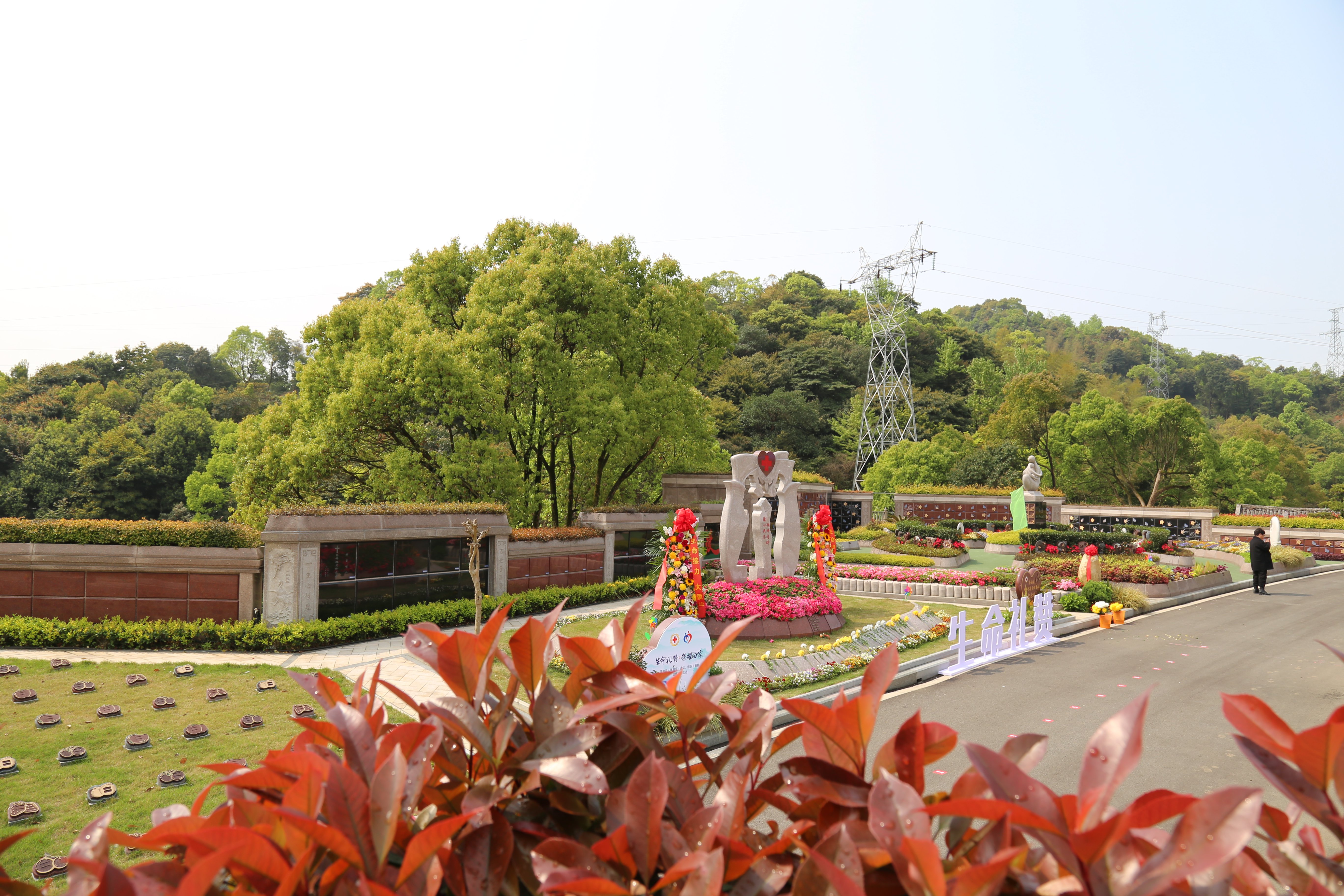 太阳城官网(中国)集团有限公司