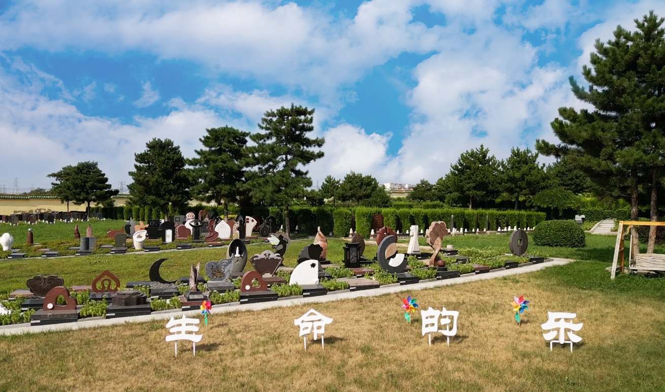 太阳城官网(中国)集团有限公司