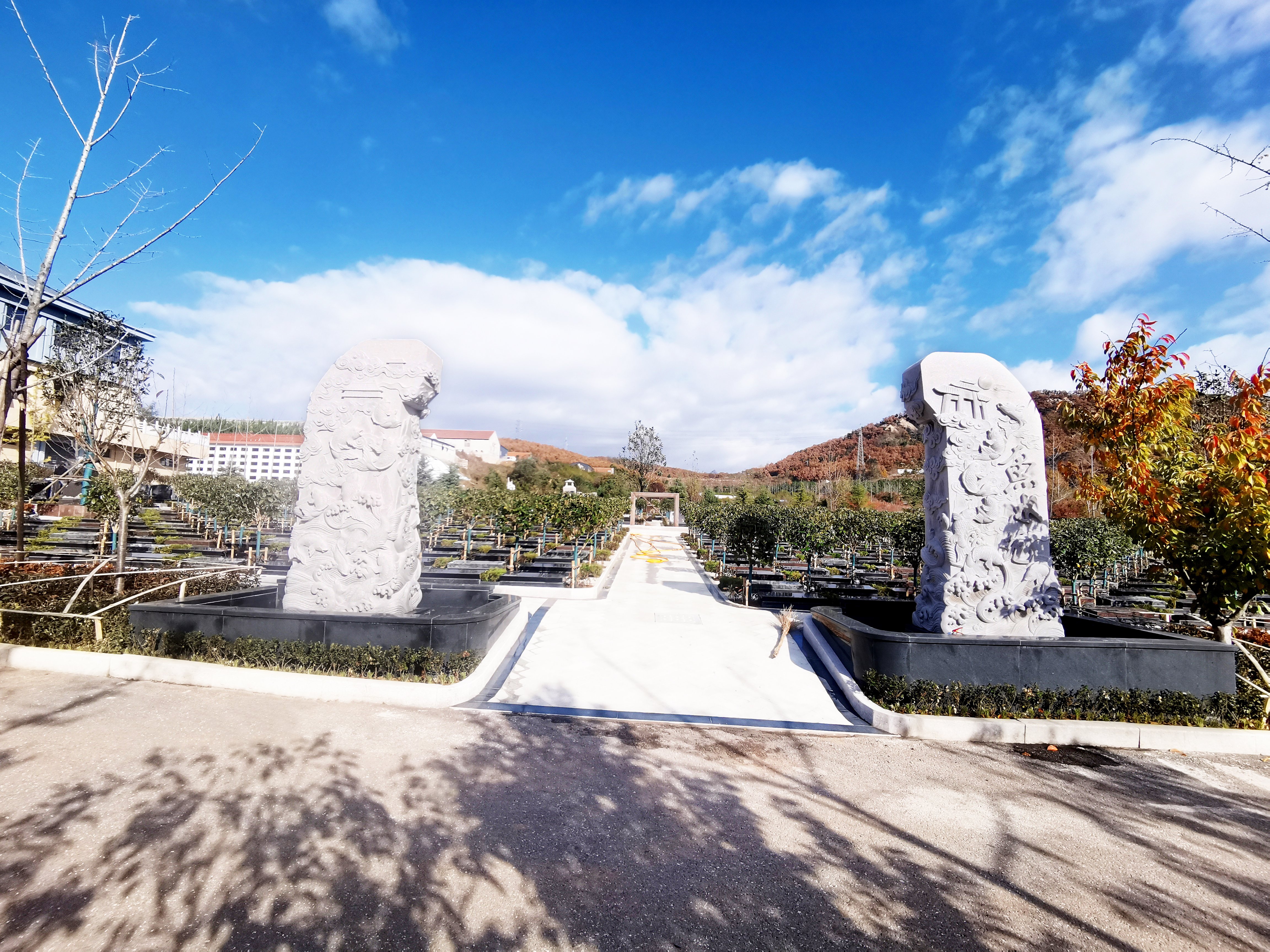 太阳城官网(中国)集团有限公司