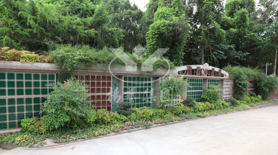 太阳城官网(中国)集团有限公司