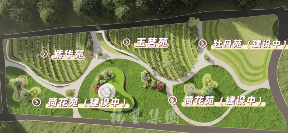 太阳城官网(中国)集团有限公司